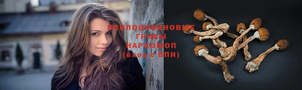 бутират Сосновка