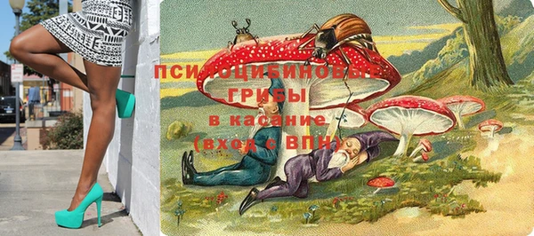 apvp Коряжма
