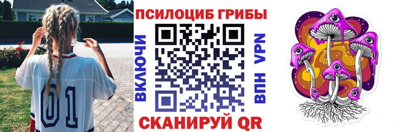 Псилоцибиновые грибы Cubensis  Купить закладки  Вяземский 